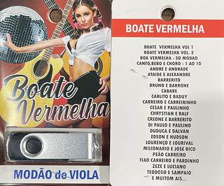 pendrive gravado original 500-600 músicas P134