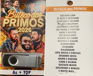 pendrive gravado original 500-600 músicas 76
