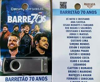 pendrive gravado original 500-600 músicas P103