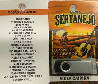 pendrive gravado original 500-600 músicas 75