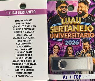 pendrive gravado original 500-600 músicas P119