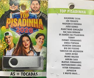 pendrive gravado original 500-600 músicas P113