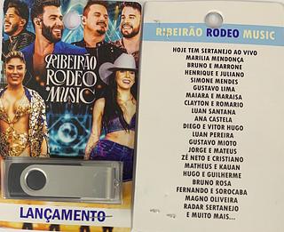 pendrive gravado original 500-600 músicas 63