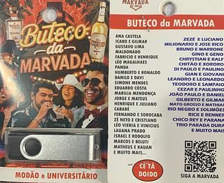 pendrive gravado original 500-600 músicas P123